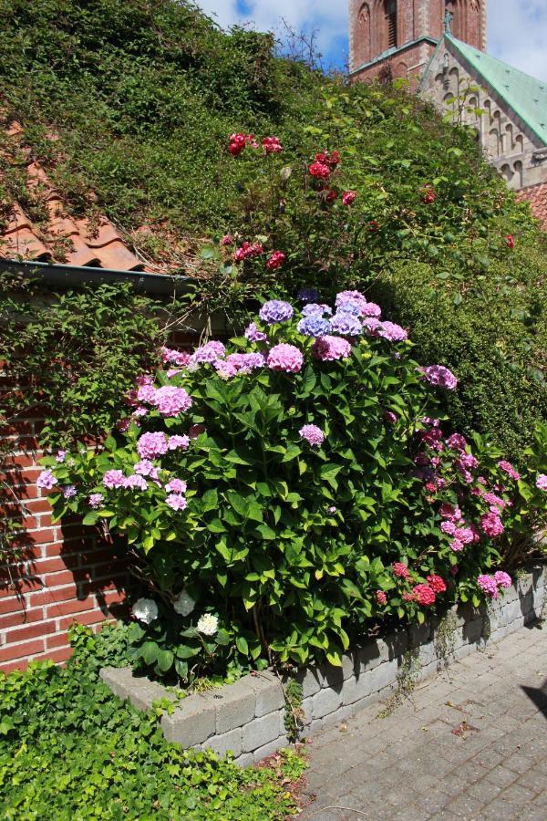 Ribe Ferielejlighed Exterior photo